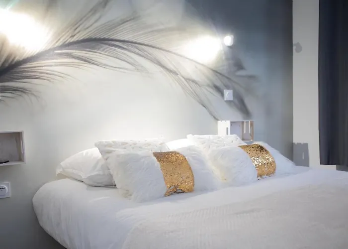 Апартаменты * Les Aux Etoiles * Клермон-Ферран