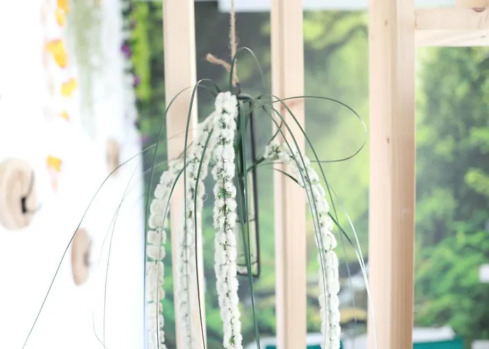 Апартаменты * Les Aux Etoiles *